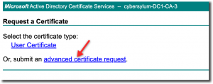 Choose Advanced Certificate Request