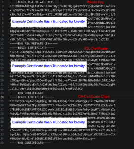 Example of Full Certificate Chain - with private key, ssl cert, and CA Chain combined