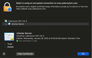 vCenter SSL Certificate view after replacing